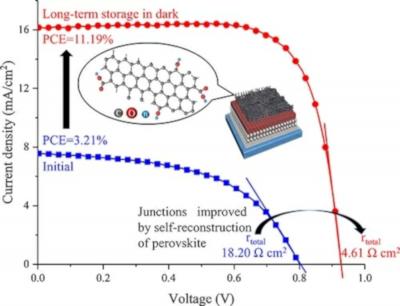 Self-recrystallization of functionalized CNT-covered perovskite image