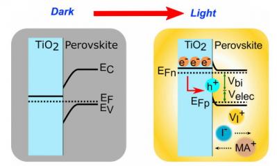 Dynamic interface in perovskite solar cells
