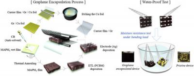 Roll-transferred graphene encapsulant for robust perovskite solar cells image