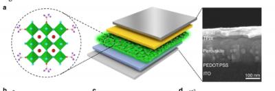 high color-purity and low-cost perovskite LEDs image