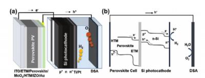 Perovskite-Si dual-absorber tandem PEC cell for self-driven water splitting by ANU image