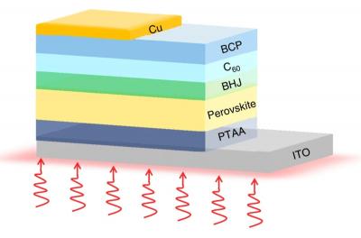 Schematic device structure of the perovskite photodetectors image