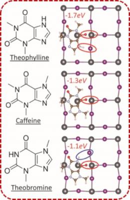 Researchers unravel the surface defect-deactivation mechanism in perovskite solar cells using molecules found in tea, coffee and chocolate image
