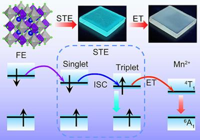Bright Triplet Self-Trapped Excitons to Dopant Energy Transfer in Halide Double-Perovskite Nanocrystals image