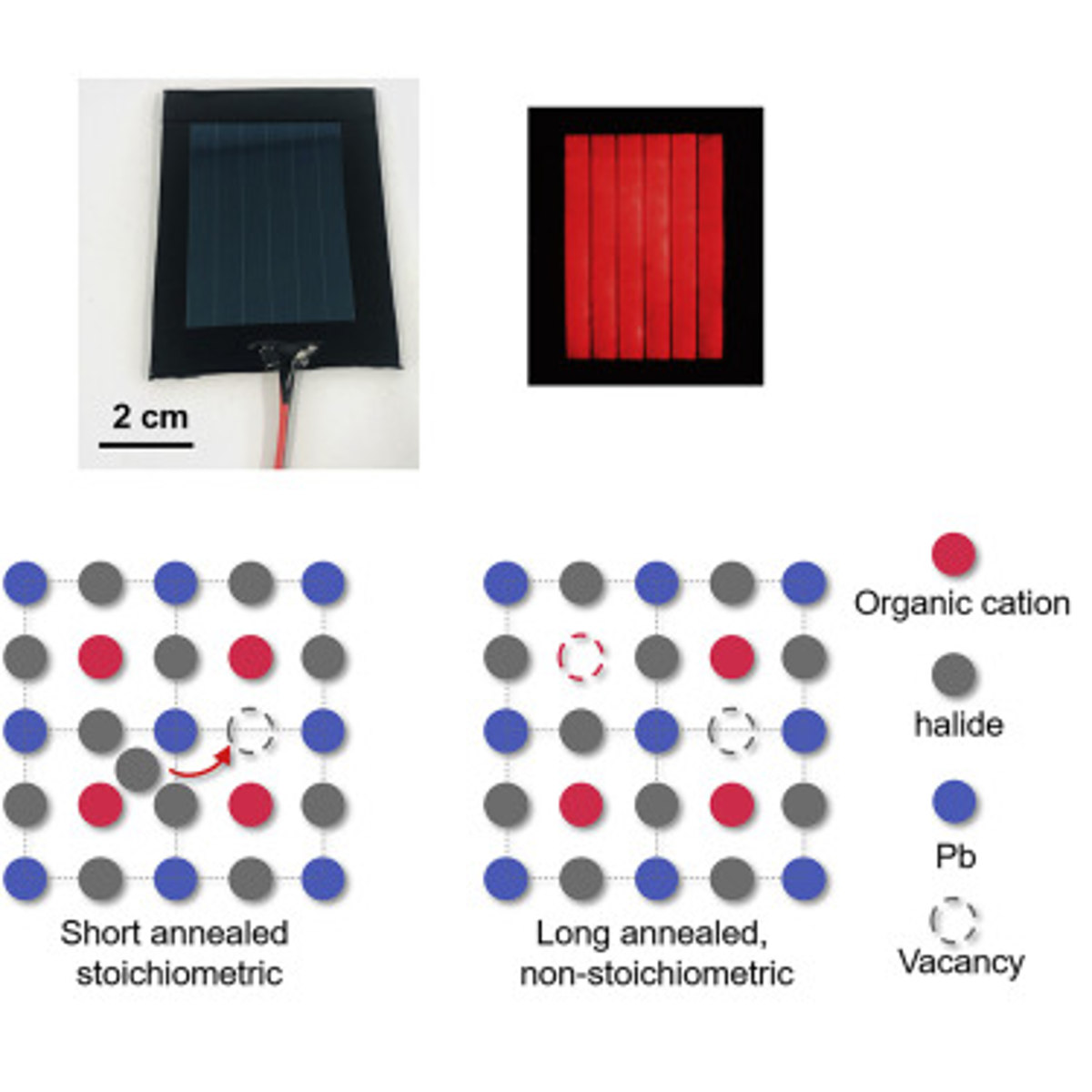 Reduced Self-Doping of Perovskites Induced by Short Annealing for Efficient Solar Modules image