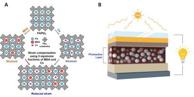 The inner structure of the newly-developed photoactive layer, as well as the working principle of the perovskite cell image