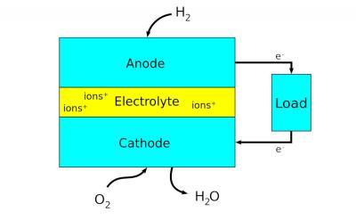 Fuel cell structure image (Wikipedia)