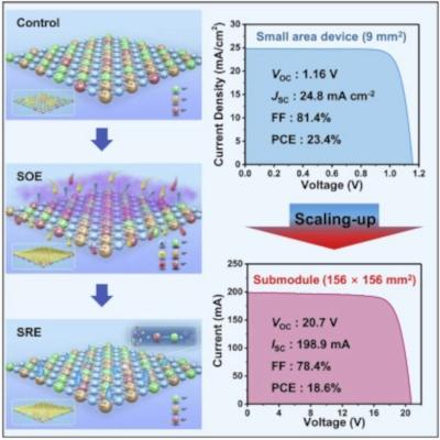 Surface redox engineering of vacuum-deposited NiOx for top-performance perovskite solar cells and modules image