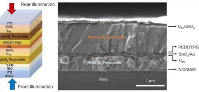 Schematic illustration and cross-sectional SEM of bifacial monolithic all-perovskite tandems image