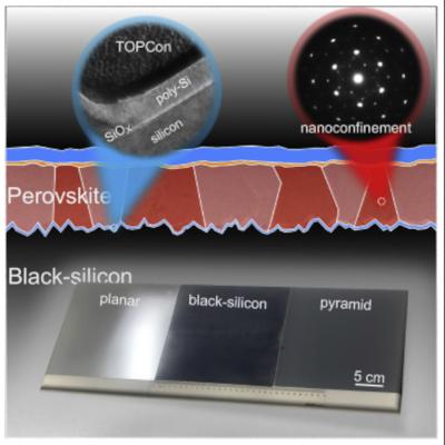 Monolithic perovskite/black-silicon tandems based on tunnel oxide passivated contacts image