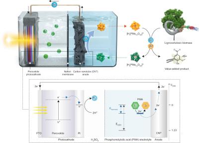 Perovskite photocathode with Pt catalyst and electron extraction system from biomass are combined for bias-free hydrogen evolution image