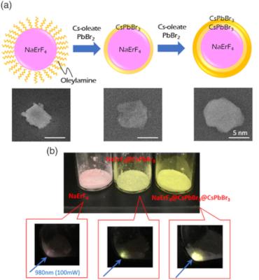 Novel near-infrared light detection method based on perovskites image