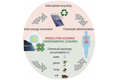 Lead from innovative solar cells is not as toxic as feared image