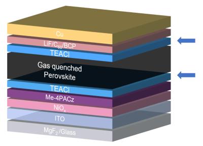 Minimizing the Interface-Driven Losses in Inverted Perovskite Solar Cells and Modules image