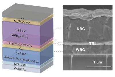 All-perovskite tandem solar cell with 2D/3D heterostructure achieves 28.1% efficiency image
