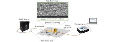 Generation of lossy mode resonances using perovskite nanofilms image